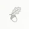 Hand-drawn acorn with oak leaf